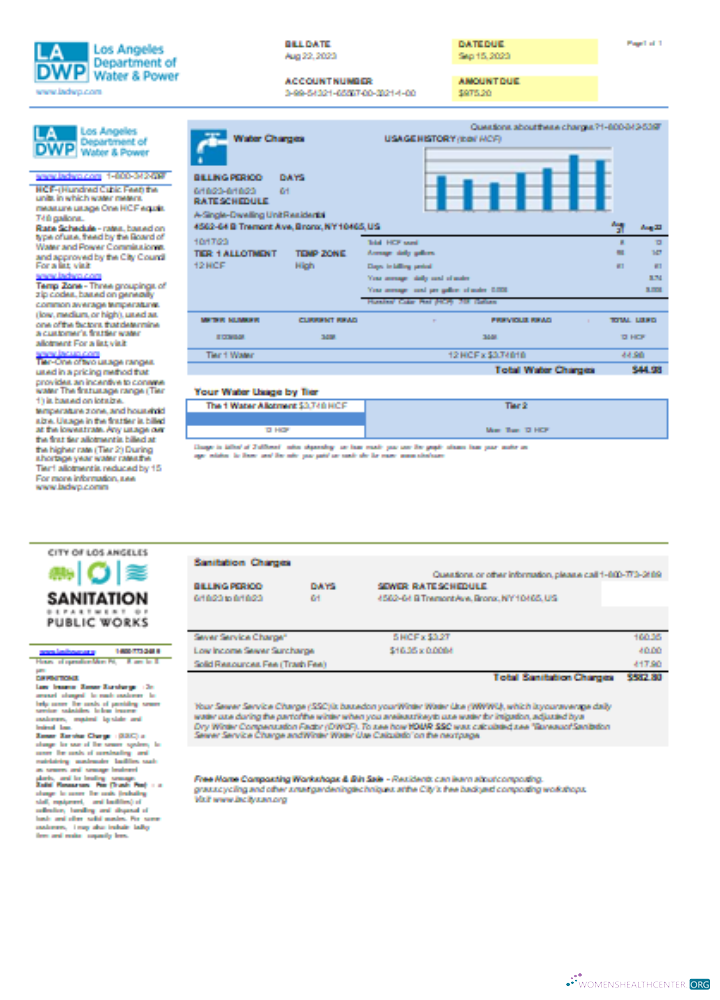 Download LA DWP utility business bill, SCR Photoshop template